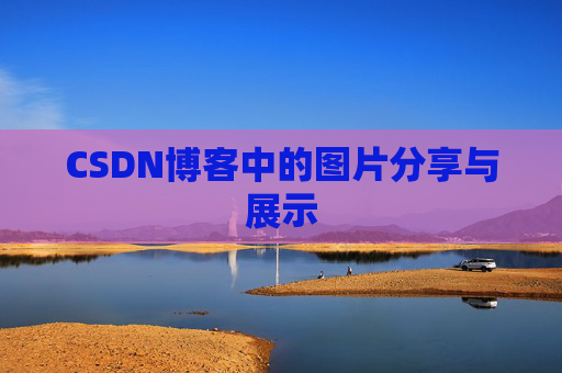 CSDN博客中的图片分享与展示